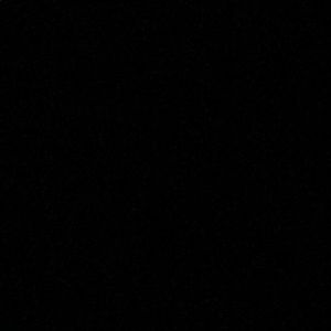 Meet your Posher, Shenicka